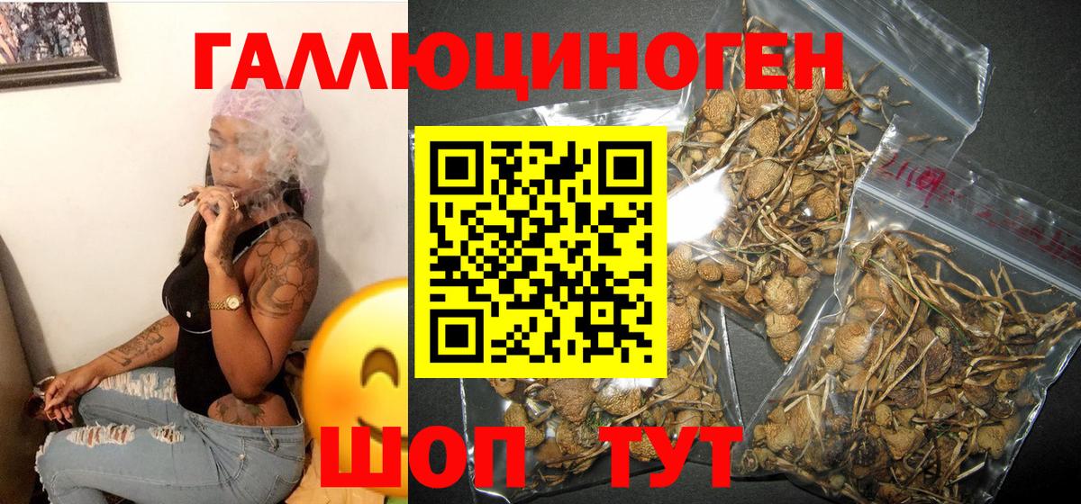 сколько стоит  Галлюциногенные грибы MAGIC MUSHROOMS  Вход с VPN  Кунгур 